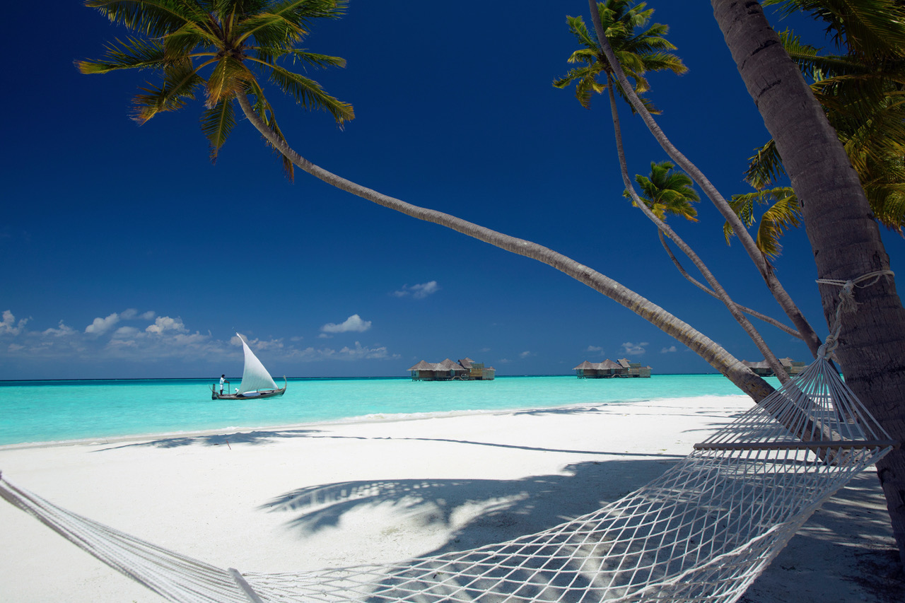 海滩Eco Luxury Gili Lankanfushi马尔代夫