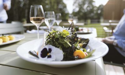 Bio Restaurant, Hotel Sturm, Mellrichstadt
